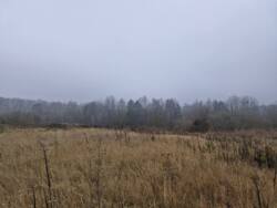 ��������� ������ ������, ������������, ����������� ���� 5