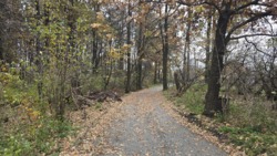 Продаж ділянки 15 соток в с.Іванівка фото 9 Продаж ділянки 15 соток в с.Іванівка фото 9