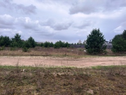 Продається ділянка Житомирська, Житомирський, Пряжів, Лісова/Промислова фото 5 Продається ділянка Житомирська, Житомирський, Пряжів, Лісова/Промислова фото 5