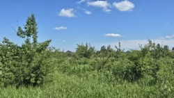 Продаж ділянки р-н Смоківка фото 4 Продаж ділянки р-н Смоківка фото 4