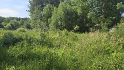 Продається ділянка Тетерівка, з боку річки. фото 3 Продається ділянка Тетерівка, з боку річки. фото 3