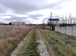 Продається ділянка Житомирська, Житомирський, Сонячне, Новоселів фото 2 Продається ділянка Житомирська, Житомирський, Сонячне, Новоселів фото 2