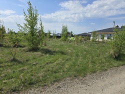 Продається ділянка Житомирська, Житомирський, Зарічани фото 1 Продається ділянка Житомирська, Житомирський, Зарічани фото 1