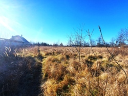 ��������� ������ ������������, ��������, ������������, ����������� ���� 3