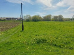 Ділянка 25 соток с.Лука фото 4 Ділянка 25 соток с.Лука фото 4