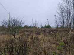 ĳ����� 10 ����� �� ������� ������� 44� (2693736) ���� 1