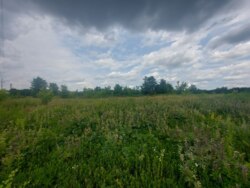 Продається ділянка Житомирська, Житомирський, Станишівка, початок фото 7 Продається ділянка Житомирська, Житомирський, Станишівка, початок фото 7