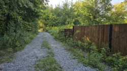 ĳ          (26142819)  27