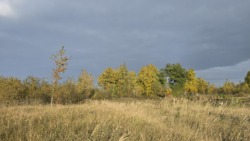 ĳ����� 9 ���. �� ����������. (26155123) ���� 7