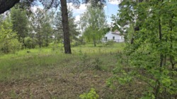 Гарна ділянка с.Кам'янка, дорога на Новоселицю. фото 9 Гарна ділянка с.Кам'янка, дорога на Новоселицю. фото 9