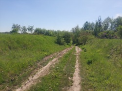 Продаж ділянки 50 соток с.Млинище (26144870) фото 6 Продаж ділянки 50 соток с.Млинище (26144870) фото 6