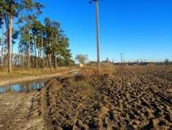 Продається ділянка Житомирська, Житомирський, Кам'янка фото 1 Продається ділянка Житомирська, Житомирський, Кам'янка фото 1
