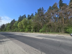 Продаж ділянки 10 соток в соснах, новий масив район паперової ф-ки фото 3 Продаж ділянки 10 соток в соснах, новий масив район паперової ф-ки фото 3