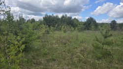 Продаж ділянки 8 соток с.Оліївка фото 5 Продаж ділянки 8 соток с.Оліївка фото 5