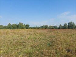 Найцікавіша ділянка в Оліївці! 25 соток фото 4 Найцікавіша ділянка в Оліївці! 25 соток фото 4