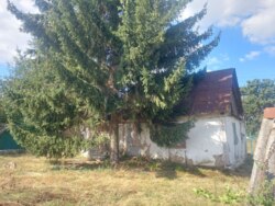 Продається ділянка Житомирська, Житомирський, Тетерівка, Піонерська фото 7 Продається ділянка Житомирська, Житомирський, Тетерівка, Піонерська фото 7