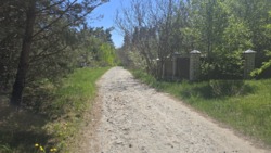 ������ 17,5 ���. �� ��������.(26161757) ���� 8