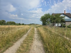   15   . (26116995)  1