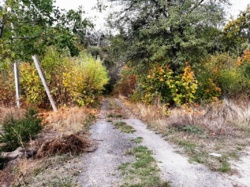 Продається ділянка Житомирська, Житомирський, Гуйва, Масив 3 фото 2 Продається ділянка Житомирська, Житомирський, Гуйва, Масив 3 фото 2