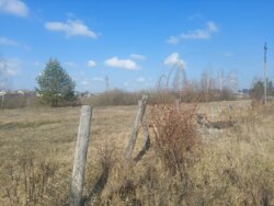 Ділянка 15 соток с.Садки (26141861) фото 9 Ділянка 15 соток с.Садки (26141861) фото 9