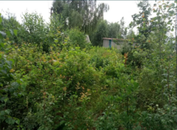 Продається ділянка Житомирська, Житомирський, Дениші фото 3 Продається ділянка Житомирська, Житомирський, Дениші фото 3