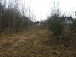 Ділянка 15 сот., початок с.Сінгури. (26105809) фото 6 Ділянка 15 сот., початок с.Сінгури. (26105809) фото 6
