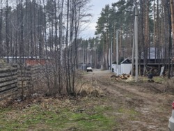 Ділянка в соснах, с.Пряжів фото 1 Ділянка в соснах, с.Пряжів фото 1