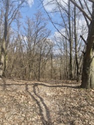 ������ ������ 10 ����� �.���������� � �����������.(26161951) ���� 7