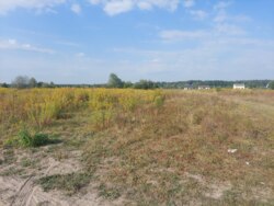   15   , 볿 (26109062)  5