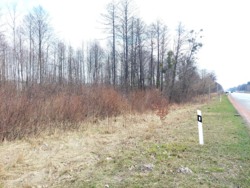 Фасадна ділянка 70 соток (26137933) фото 3 Фасадна ділянка 70 соток (26137933) фото 3