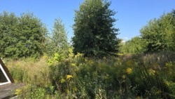 ĳ          (26142819)  22