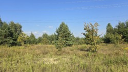 Продаж ділянки 16 сот. Пряжів (26140011) фото 2 Продаж ділянки 16 сот. Пряжів (26140011) фото 2