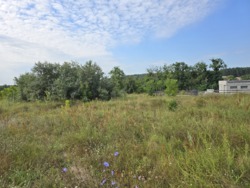 Продаж ділянки 10 соток на Богунії (26144535) фото 4 Продаж ділянки 10 соток на Богунії (26144535) фото 4