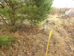 Ділянка в районі новобудов, початок с.Сінгури за заправкою фото 1 Ділянка в районі новобудов, початок с.Сінгури за заправкою фото 1