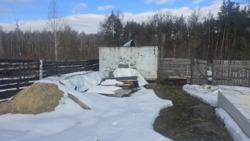 Ділянка 8соток, Станишівка, фундамент, світло, свердловина фото 9 Ділянка 8соток, Станишівка, фундамент, світло, свердловина фото 9