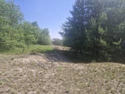 Продаж ділянки с.Тетерівка, крайня до річки фото 5 Продаж ділянки с.Тетерівка, крайня до річки фото 5