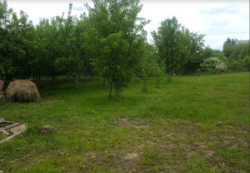 Продається ділянка Житомирська, Житомирський, Іванівка, Островського фото 3 Продається ділянка Житомирська, Житомирський, Іванівка, Островського фото 3