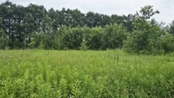 Продаж ділянки район новобудов, Хінчанка фото 2 Продаж ділянки район новобудов, Хінчанка фото 2