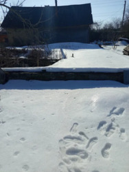 ��������� ������ ����������, ������������, ����������� ���� 3