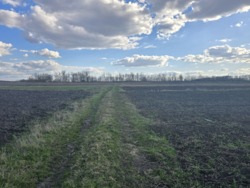 Продаж ділянки 12 соток с.Сінгури фото 4 Продаж ділянки 12 соток с.Сінгури фото 4