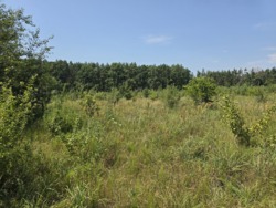 Продаж ділянки в районі Богунського кар'єру фото 5 Продаж ділянки в районі Богунського кар'єру фото 5