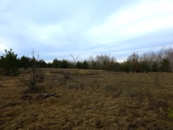 Ділянка в районі новобудов, початок с.Сінгури за заправкою фото 5 Ділянка в районі новобудов, початок с.Сінгури за заправкою фото 5