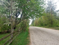 Продається ділянка Житомирська, Житомирський, Давидівка, 22-го Партз'їзду фото 6 Продається ділянка Житомирська, Житомирський, Давидівка, 22-го Партз'їзду фото 6