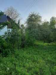    14,6 .  ..(26143857)  2