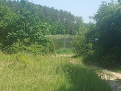 Ділянка на Богунії біля озера фото 1 Ділянка на Богунії біля озера фото 1