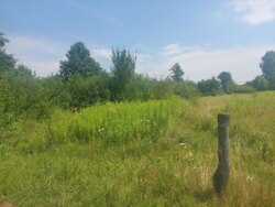 Ділянка 18 соток с.Оліївка фото 7 Ділянка 18 соток с.Оліївка фото 7