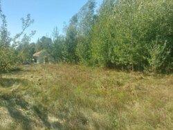 Ділянка 27 соток на початку с.Дениші фото 4 Ділянка 27 соток на початку с.Дениші фото 4