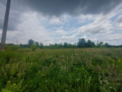 Продається ділянка Житомирська, Житомирський, Станишівка, початок фото 6 Продається ділянка Житомирська, Житомирський, Станишівка, початок фото 6