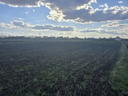 Продаж ділянки 12 соток с.Сінгури фото 5 Продаж ділянки 12 соток с.Сінгури фото 5