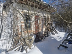 ���� �� �������������, ������������ ����� ���� 14